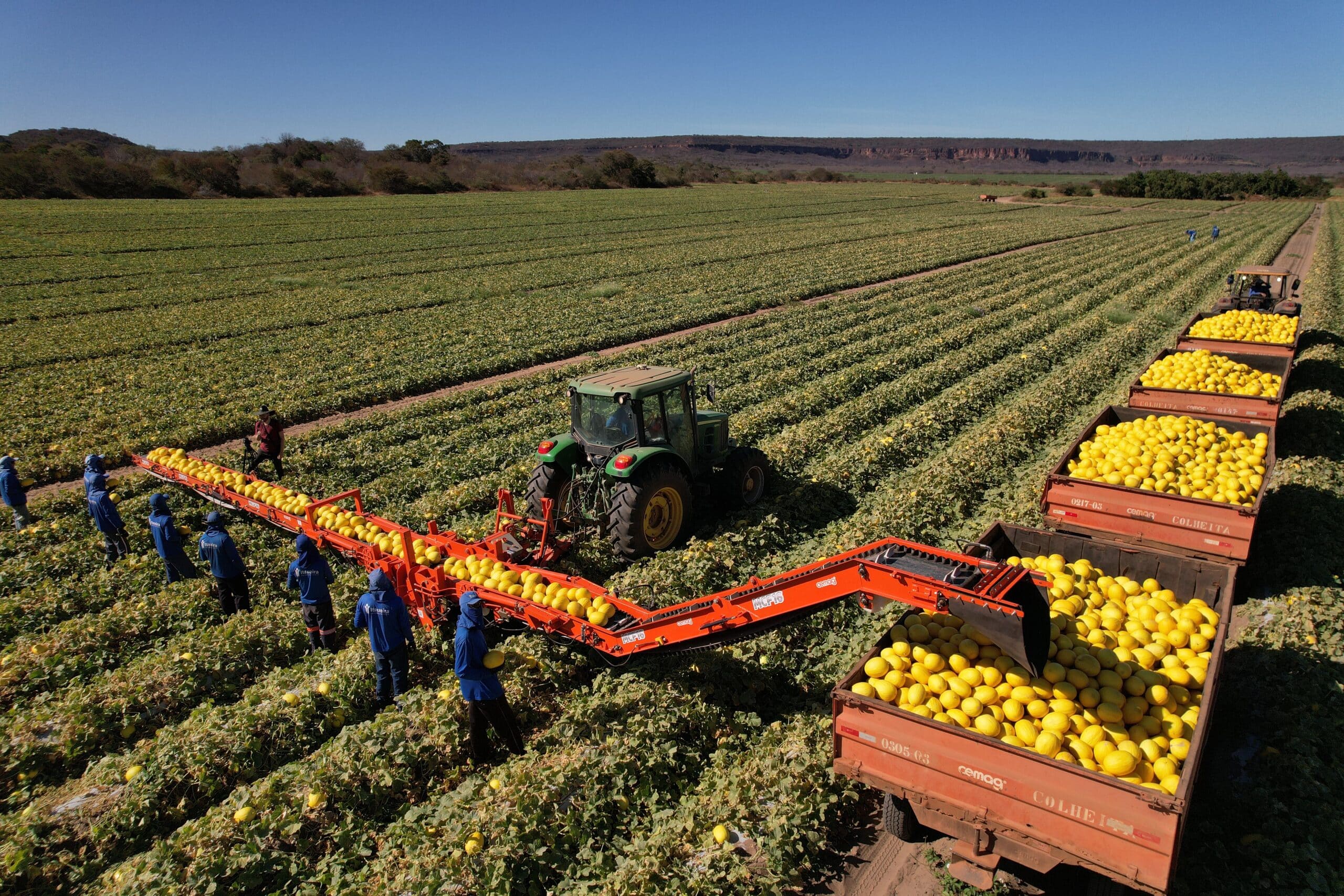 Colheita e processamento de culturas e frutos